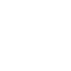 Checkmark Icon
